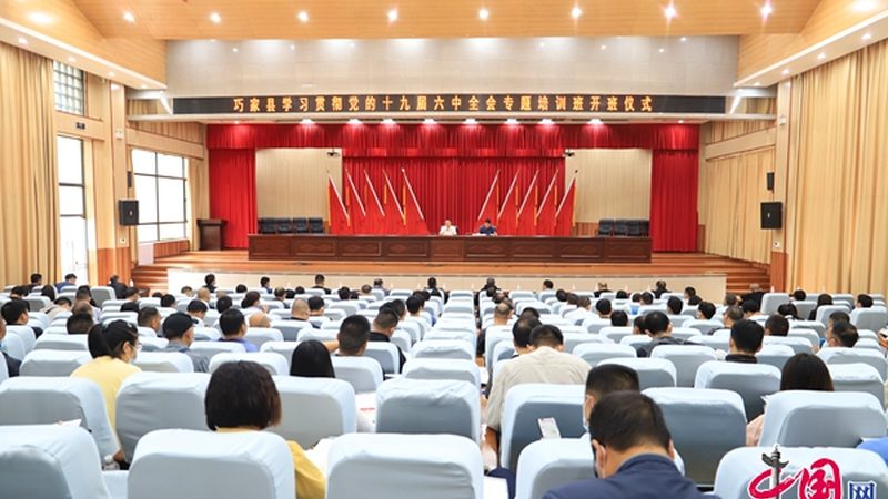 叉车培训教材电子版，规格背后的教学逻辑